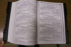 Laurens Co, GA, Marriages Book K, 1886 - 1896, P 314-315.JPG