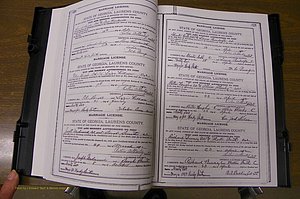 Laurens Co, GA, Marriages Book K, 1886 - 1896, P 320-321.JPG