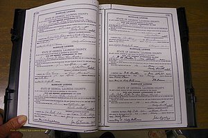 Laurens Co, GA, Marriages Book K, 1886 - 1896, P 350-351.JPG