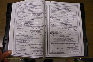 Laurens Co, GA, Marriages Book K, 1886 - 1896, P 356-357.JPG