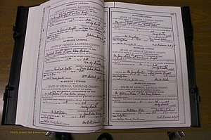 Laurens Co, GA, Marriages Book K, 1886 - 1896, P 368-369.JPG