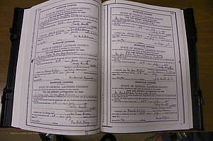 Laurens Co, GA, Marriages Book K, 1886 - 1896, P 430-431.JPG