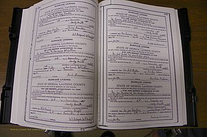 Laurens Co, GA, Marriages Book K, 1886 - 1896, P 438-439.JPG