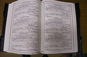 Laurens Co, GA, Marriages Book K, 1886 - 1896, P 462-463.JPG