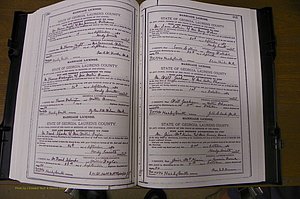 Laurens Co, GA, Marriages Book K, 1886 - 1896, P 480-481.JPG