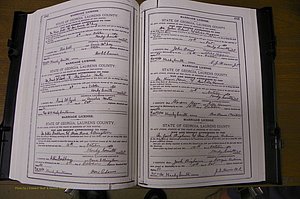 Laurens Co, GA, Marriages Book K, 1886 - 1896, P 482-483.JPG