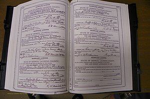 Laurens Co, GA, Marriages Book K, 1886 - 1896, P 496-497.JPG