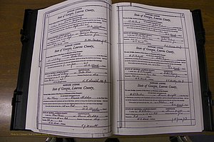 Laurens Co, GA, Marriages Book N, 1905 - 1915, White, P 004-005.JPG