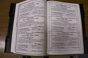 Laurens Co, GA, Marriages Book N, 1905 - 1915, White, P 006-007.JPG