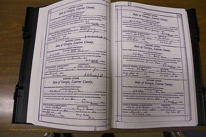 Laurens Co, GA, Marriages Book N, 1905 - 1915, White, P 012-013.JPG