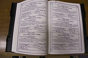 Laurens Co, GA, Marriages Book N, 1905 - 1915, White, P 018-019.JPG