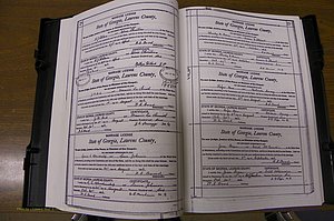 Laurens Co, GA, Marriages Book N, 1905 - 1915, White, P 028-029.JPG