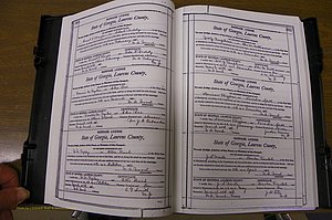 Laurens Co, GA, Marriages Book N, 1905 - 1915, White, P 308-309.JPG