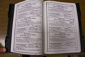 Laurens Co, GA, Marriages Book N, 1905 - 1915, White, P 312-313.JPG