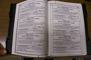 Laurens Co, GA, Marriages Book N, 1905 - 1915, White, P 316-317.JPG