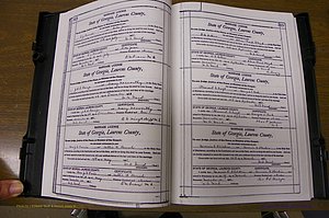 Laurens Co, GA, Marriages Book N, 1905 - 1915, White, P 318-319.JPG