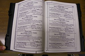 Laurens Co, GA, Marriages Book N, 1905 - 1915, White, P 334-335.JPG