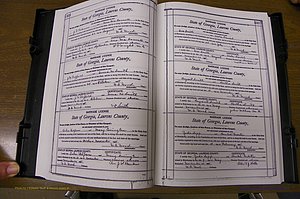 Laurens Co, GA, Marriages Book N, 1905 - 1915, White, P 338-339.JPG