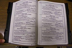 Laurens Co, GA, Marriages Book N, 1905 - 1915, White, P 340-341.JPG