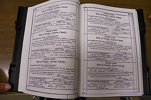 Laurens Co, GA, Marriages Book N, 1905 - 1915, White, P 350-351.JPG