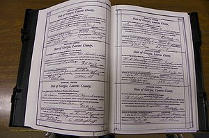 Laurens Co, GA, Marriages Book N, 1905 - 1915, White, P 352-353.JPG