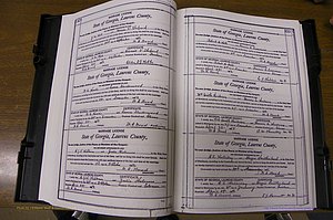 Laurens Co, GA, Marriages Book N, 1905 - 1915, White, P 358-359.JPG
