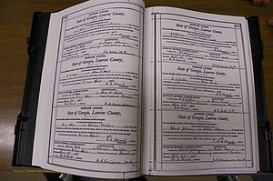 Laurens Co, GA, Marriages Book N, 1905 - 1915, White, P 360-361.JPG