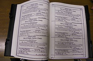Laurens Co, GA, Marriages Book N, 1905 - 1915, White, P 370-371.JPG