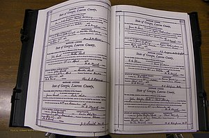 Laurens Co, GA, Marriages Book N, 1905 - 1915, White, P 372-373.JPG