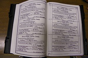 Laurens Co, GA, Marriages Book N, 1905 - 1915, White, P 374-375.JPG