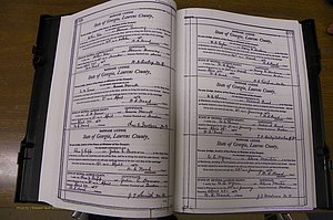 Laurens Co, GA, Marriages Book N, 1905 - 1915, White, P 376-377.JPG