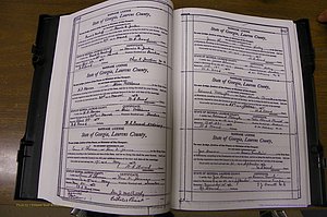 Laurens Co, GA, Marriages Book N, 1905 - 1915, White, P 380-381.JPG