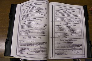 Laurens Co, GA, Marriages Book N, 1905 - 1915, White, P 384-385.JPG