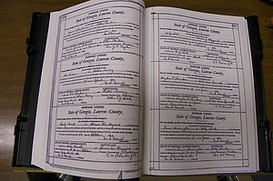 Laurens Co, GA, Marriages Book N, 1905 - 1915, White, P 390-391.JPG