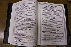 Laurens Co, GA, Marriages Book N, 1905 - 1915, White, P 408-409.JPG