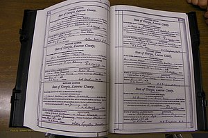 Laurens Co, GA, Marriages Book N, 1905 - 1915, White, P 414-415.JPG