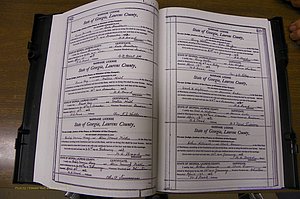 Laurens Co, GA, Marriages Book N, 1905 - 1915, White, P 422-423.JPG