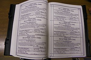 Laurens Co, GA, Marriages Book N, 1905 - 1915, White, P 426-427.JPG
