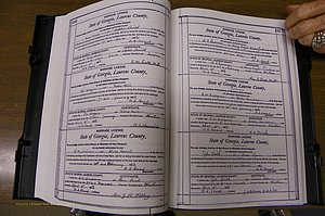 Laurens Co, GA, Marriages Book N, 1905 - 1915, White, P 436-437.JPG
