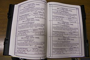 Laurens Co, GA, Marriages Book N, 1905 - 1915, White, P 450-451.JPG