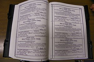 Laurens Co, GA, Marriages Book N, 1905 - 1915, White, P 456-457.JPG