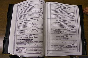 Laurens Co, GA, Marriages Book N, 1905 - 1915, White, P 460-461.JPG