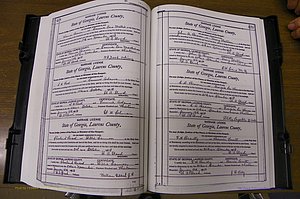 Laurens Co, GA, Marriages Book N, 1905 - 1915, White, P 478-479.JPG