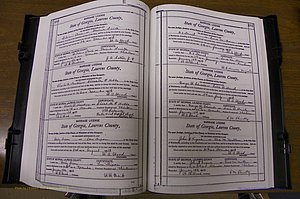 Laurens Co, GA, Marriages Book N, 1905 - 1915, White, P 480-481.JPG