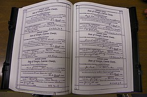 Laurens Co, GA, Marriages Book N, 1905 - 1915, White, P 484-485.JPG