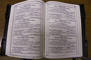 Laurens Co, GA, Marriages Book N, 1905 - 1915, White, P 486-487.JPG