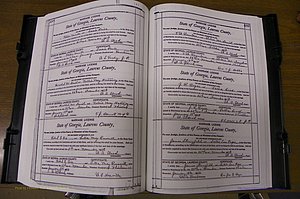 Laurens Co, GA, Marriages Book N, 1905 - 1915, White, P 488-489.JPG