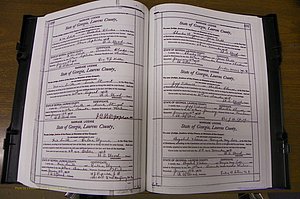 Laurens Co, GA, Marriages Book N, 1905 - 1915, White, P 490-491.JPG