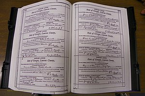 Laurens Co, GA, Marriages Book N, 1905 - 1915, White, P 492-493.JPG