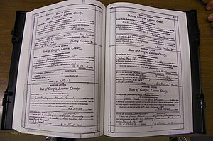 Laurens Co, GA, Marriages Book N, 1905 - 1915, White, P 494-495.JPG